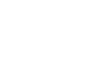 El-Tiburon-Daniel logo